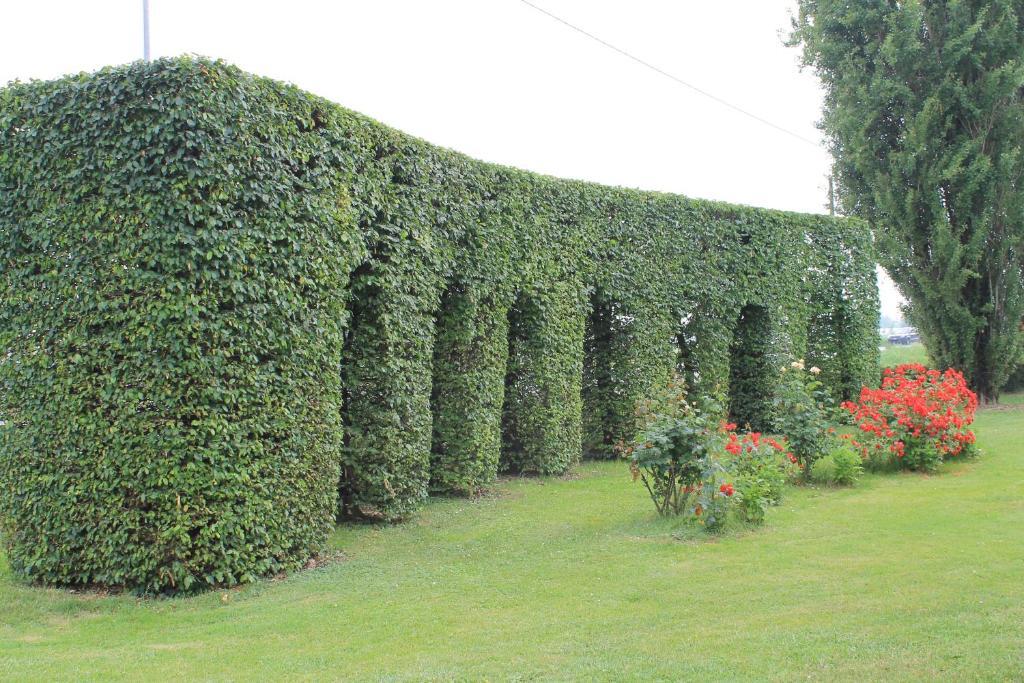 Villa Belvedere 1849 Misano di Gera dʼAdda Esterno foto