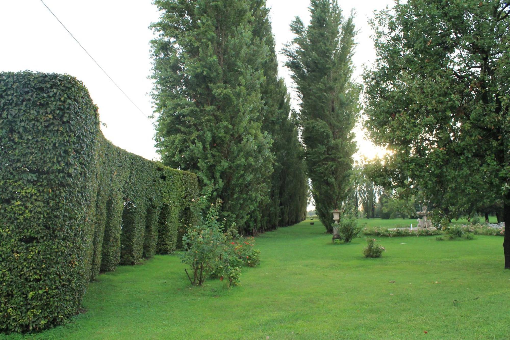 Villa Belvedere 1849 Misano di Gera dʼAdda Esterno foto